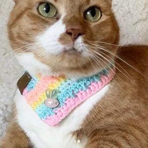 Pet bandana/scarf for small dog and cat with embellishment crocheted/slide over